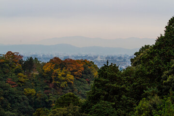 Arashiyama autumn view