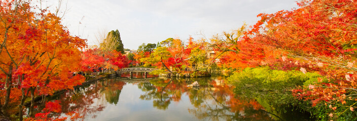 Autumn at Kyoto