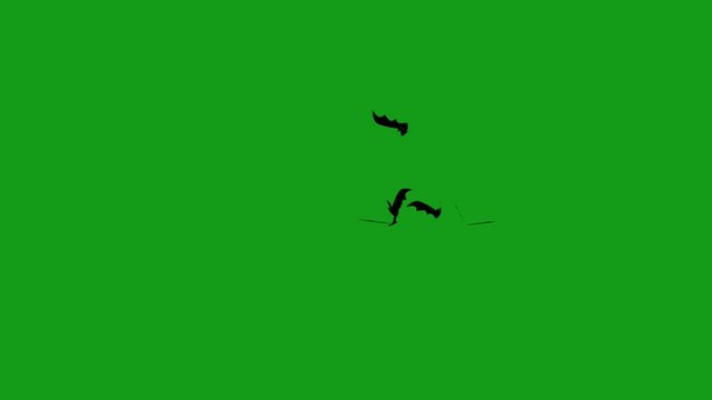 Flying bats motion graphics with green screen background