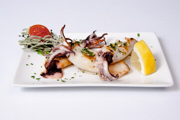 Squid dish on a white background