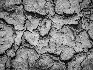 due to drought the soil is fissured and torn and forms a pattern