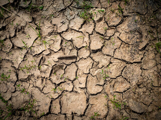 due to drought the soil is fissured and torn and forms a pattern