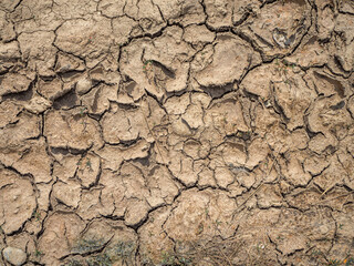 due to drought the soil is fissured and torn and forms a pattern