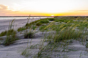 Beach Sunset with Grassy Dunes 1