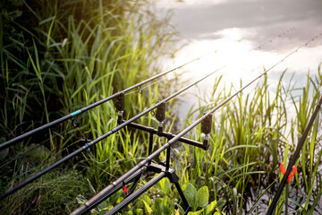 Obraz premium Carp fishing rod pod with rods isolated.