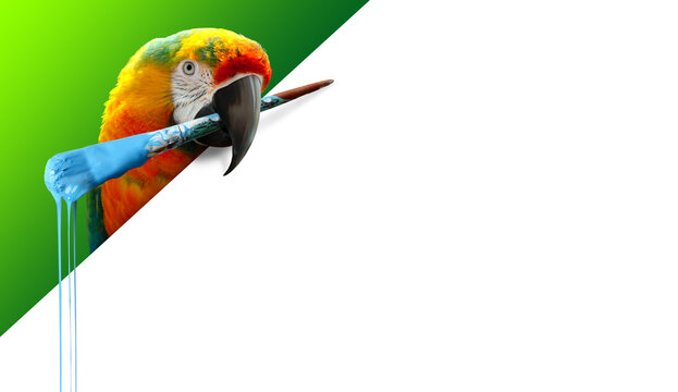 Parrot with a dripping paint brush in its beak. Advertisement concept with copy space.