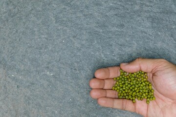 Green peas piled on bare hands.
