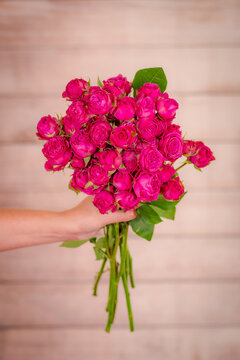 Women hand holding a bouquet of Classic Sensation roses variety, studio shot.