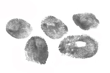 fingerprint isolated on white background
