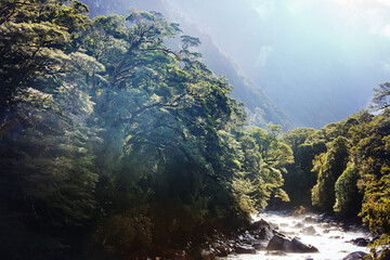 New Zealand river