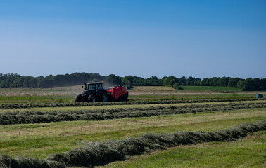 Naklejka premium Schwarzer Treker mit einer roten Stroh Festkammerpresse bei der Strohernte auf einem gemähten Feld