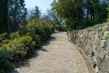 Image of a walkway in the spring park.