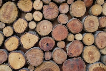 Fototapeta premium stack of firewood on the wall
