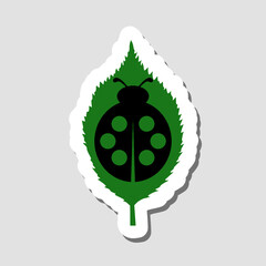 Ladybug sticker icon isolated on gray background