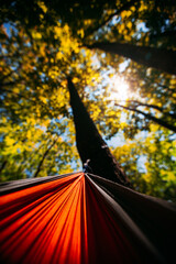 Swinging while Lay in an Orange Hammock Watching the Sun Shining Through the Trees on a Beach in Summer 