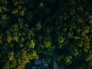 Aerial View of a Green Countryside Campground in the Middle of a Forest during the Golden Hour of the Sunset