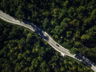 Aerial Drone View of a Car Driving on a Winding Road in the Middle of a Green Forest