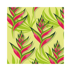 heliconias plants tropical pattern background