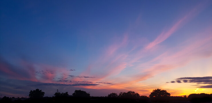 linear pink clouds against blue sunset sky with outline of trees