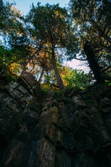 A View of Wisonsin's Rocky Rugged Natural Forest Landscape while Hiking During the Golden Hour 