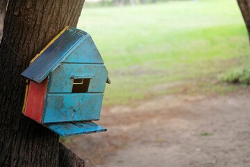 bird house on a tree