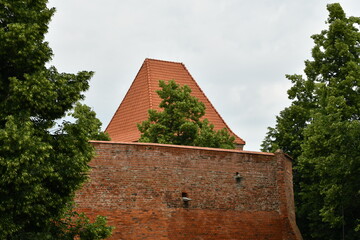 architektura
