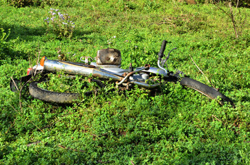 Naklejka premium Scrap Bike In An Abandoned Land