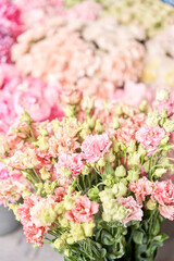 Floral carpet or Wallpaper. Background of mix of flowers. Beautiful flower for catalog or online store. Floral shop and delivery concept. Top view. Copy space