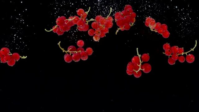 Red Currant Falling Into Water