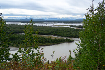 アラスカの森、夏の湿地帯と雪山