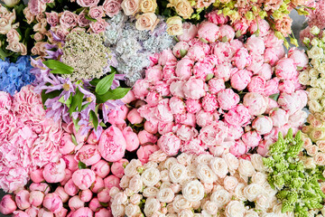Floral carpet or Wallpaper. Background of mix of flowers. Beautiful flowers for catalog or online store. Floral shop and delivery concept. Top view. Copy space