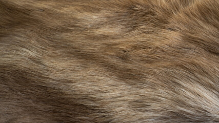 The hair of the reindeer, dark brown and white wool. And there is a beautiful wave pattern Looks...