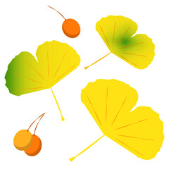 イチョウと銀杏