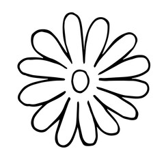 flower with many petals in doodle
