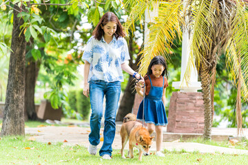 Obraz premium Families with mothers and daughters walking with Shiba Inu dogs in the park in spring