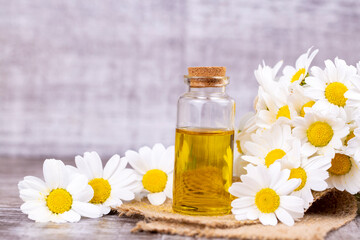 Essential oil in glass bottle with fresh chamomile flowers, beauty treatment.