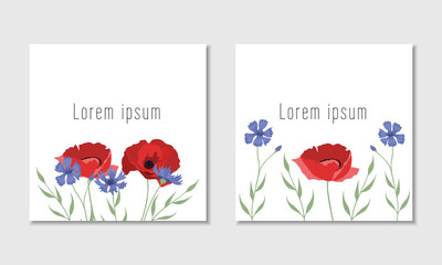 Vector floral card template with red poppied and blue cornflowers. White background