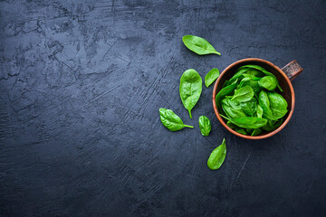 Spinach in the bowl on the dark background. Washed fresh mini spinach, green grass, vitamins salad.