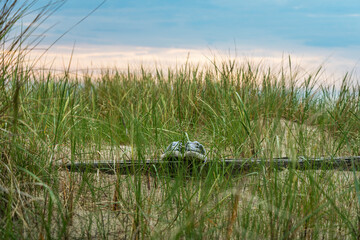 Shoes on sea coast.