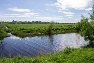 Landscape with a forest river in summer