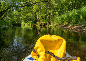 view from stand up padlle board on the bank of a small wild river, view of green forest river,...