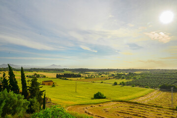 Morning in countryside on Mallorca island