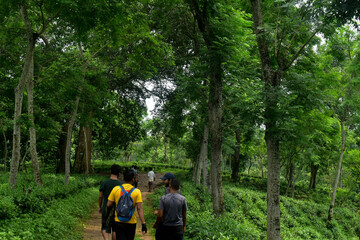 adventure in nature and flowers