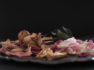 dried flower on a black background