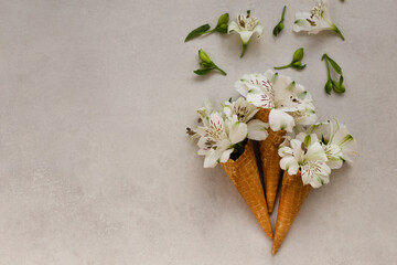 Summer or sping concept. Flowers in the ice-cream cones.