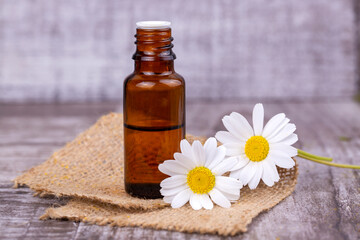 Fototapeta na wymiar Essential oil in glass bottle with fresh chamomile flowers, beauty treatment.