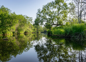 Fototapeta na wymiar summer landscape with a small forest river, low river calm, summer wild river reflection landscape.