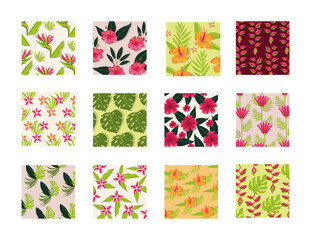leafs and plants tropical patterns backgrounds