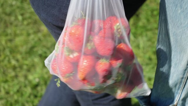 close-up girl behind her holds an ecobag with berries