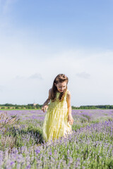 A little girl wearing yellow dress, walking in a lavender field before sunset. Selective focus.